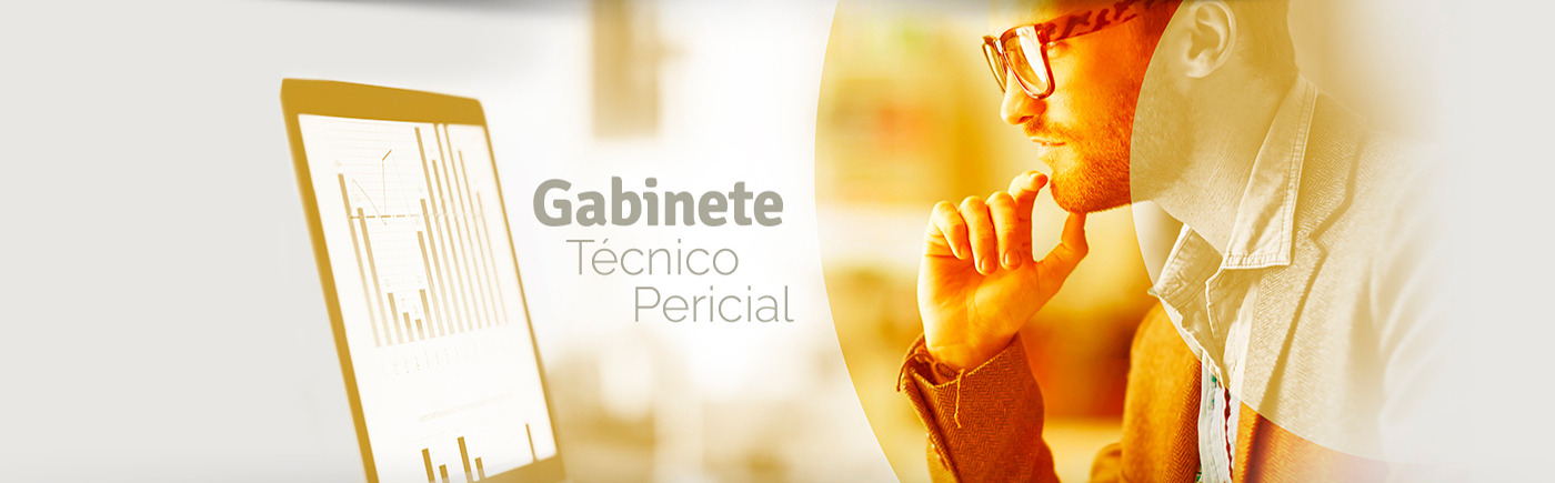 Gabinete técnico pericial: profesional analizando información en un ordenador